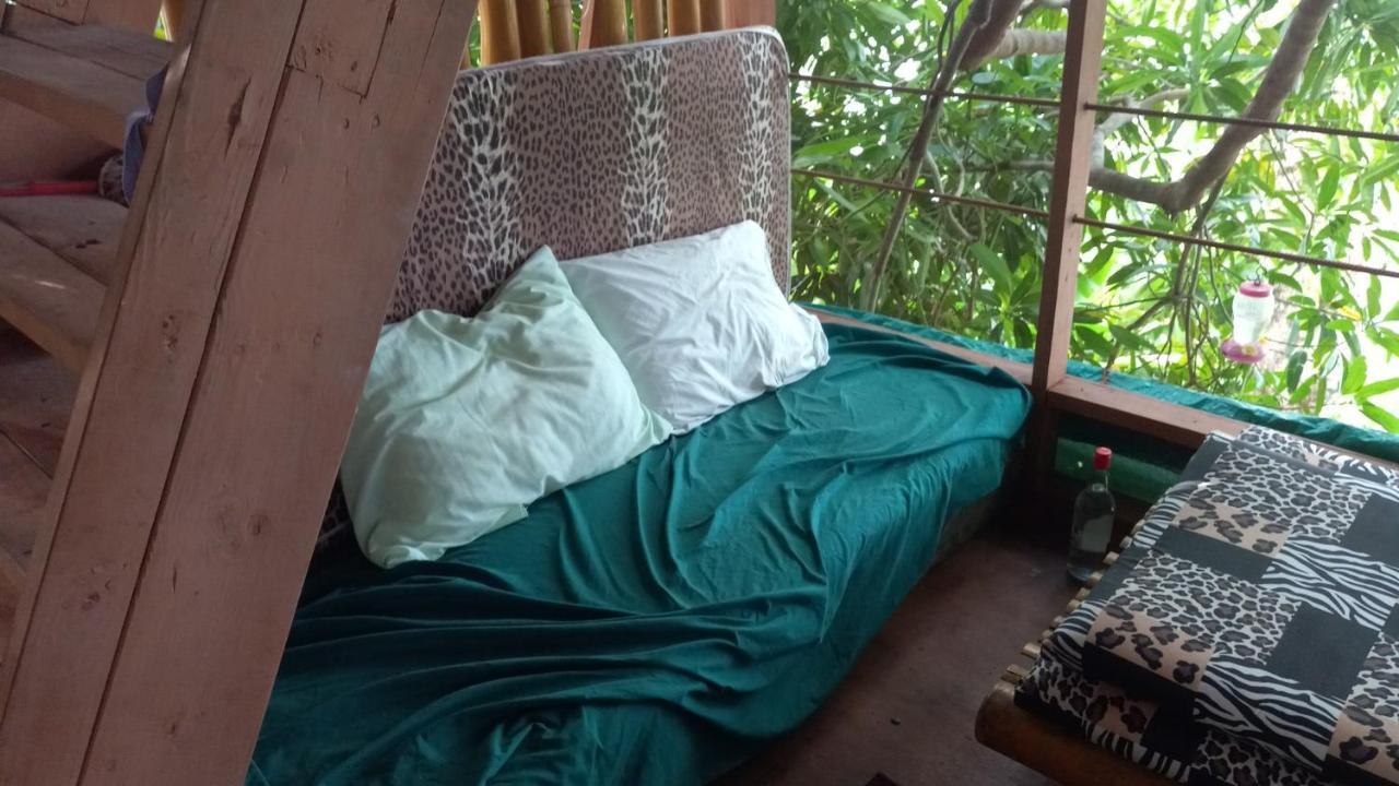 Treehouse Above The Beach Πορτ Αντόνιο Εξωτερικό φωτογραφία