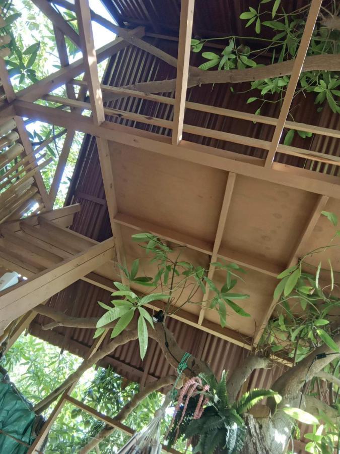 Treehouse Above The Beach Πορτ Αντόνιο Εξωτερικό φωτογραφία