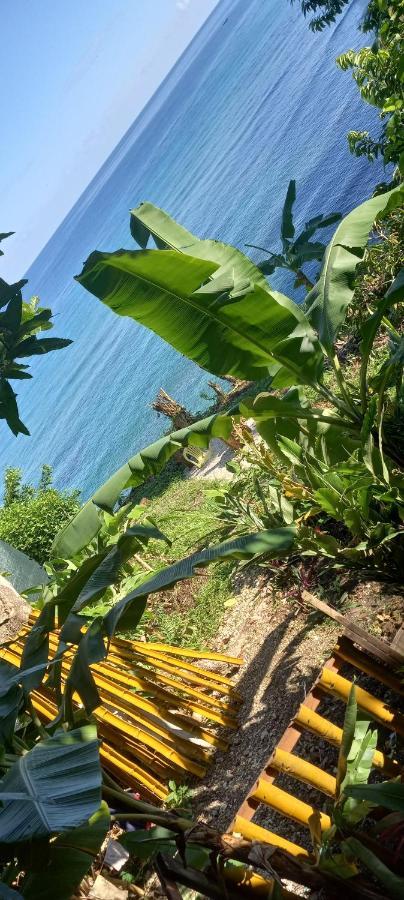 Treehouse Above The Beach Πορτ Αντόνιο Εξωτερικό φωτογραφία