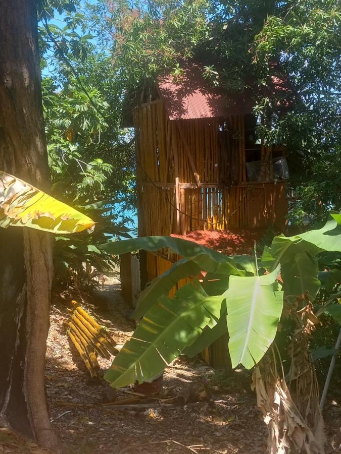 Treehouse Above The Beach Πορτ Αντόνιο Εξωτερικό φωτογραφία