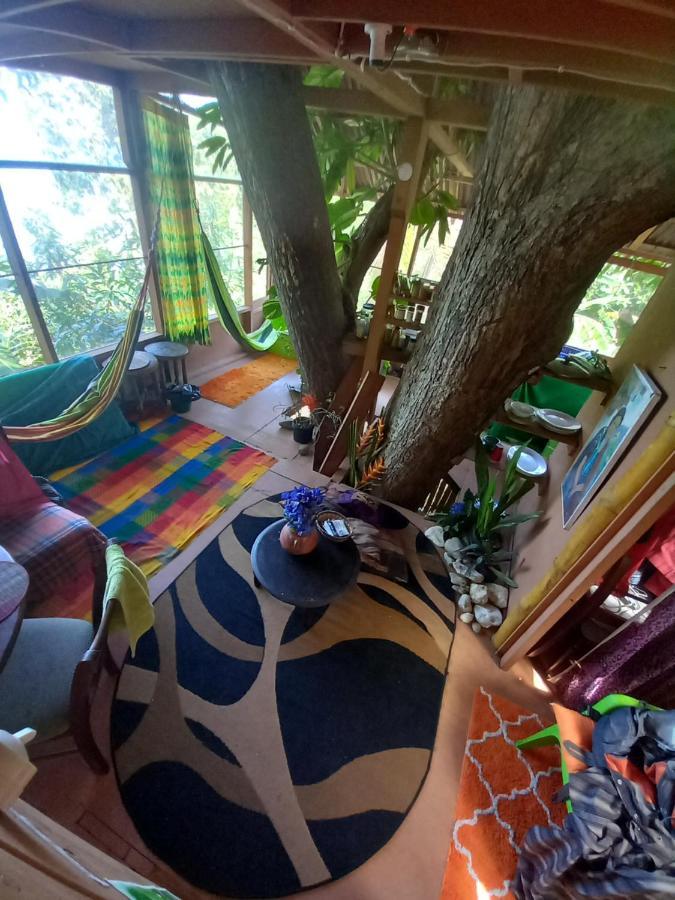Treehouse Above The Beach Πορτ Αντόνιο Εξωτερικό φωτογραφία